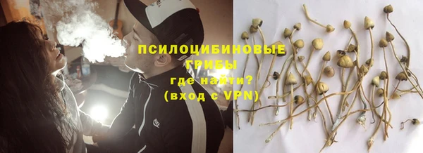 ECSTASY Бородино