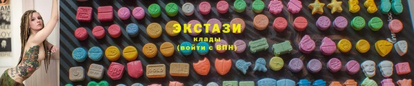 ECSTASY Бородино