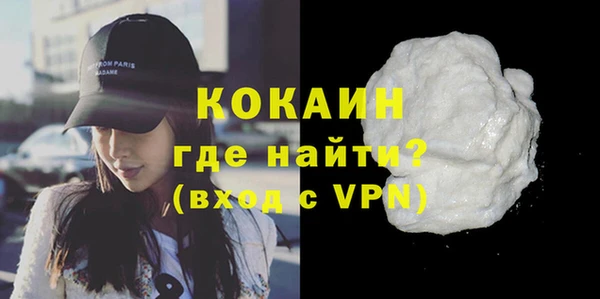 ECSTASY Бородино