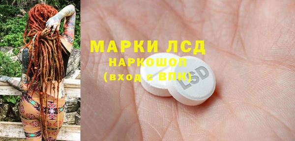ECSTASY Бородино