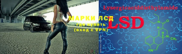 ECSTASY Бородино