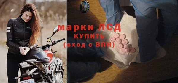 ECSTASY Бородино