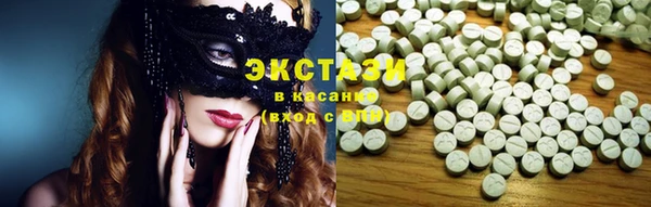 ECSTASY Бородино