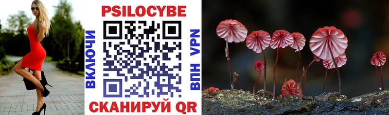 Псилоцибиновые грибы Psilocybe  Купить закладки  Никольск 